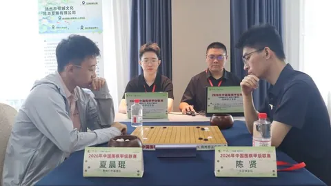 免费解谜大作收不到的信全新上架